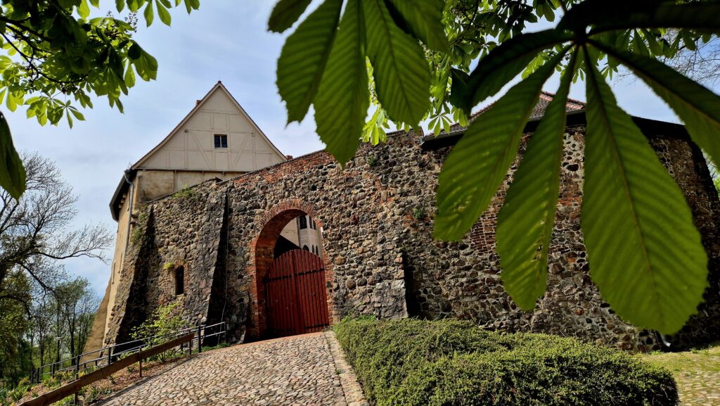 burg3